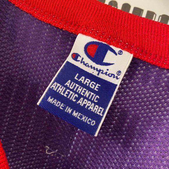 Champion Brand Toronto Raptors Men's Jersey - Picture 4 of 7